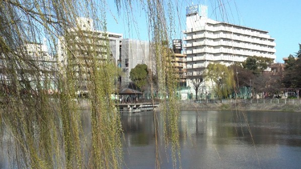 都心のオアシス隼人池、駅東へ１５０メートル