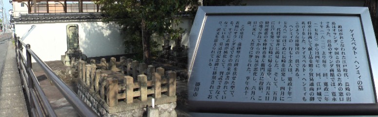 掛川城東、天然寺境内にあります。