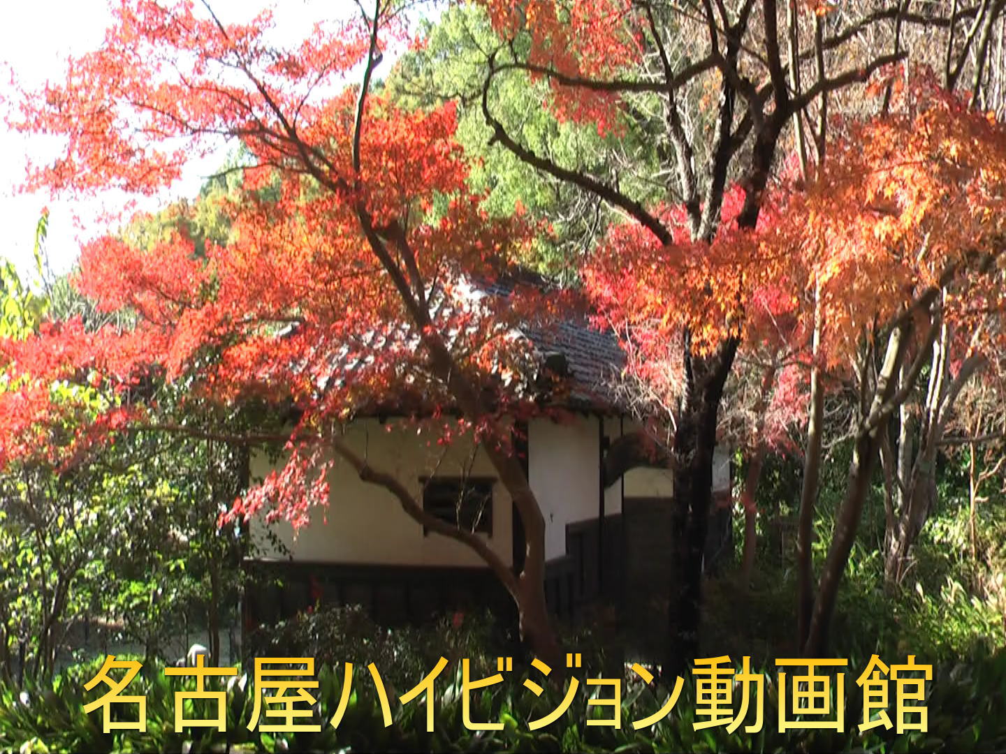 写真をクリックでハイビジョン動画館へこの写真は東山植物園也有池畔の旧兼松家武家屋敷門です。