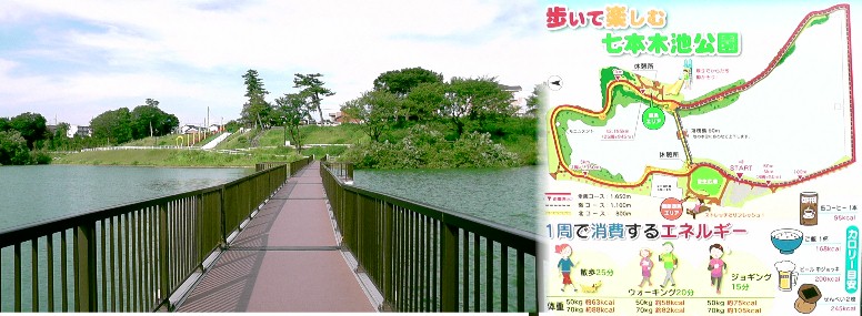 七本木池公園。 公園案内図拡大 。