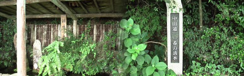 一呑の清水。皇女和宮が降嫁の旅途中、野点に使われた清水といわれ岐阜県の名水にも選ばれています。