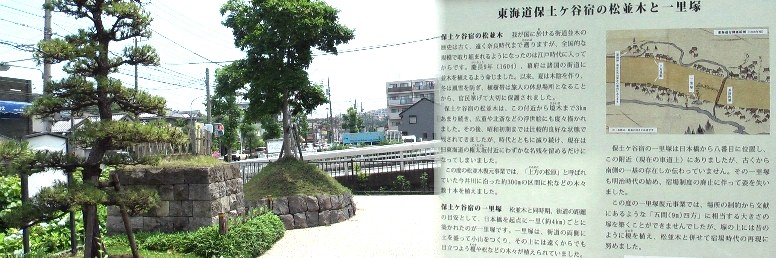 保土ヶ谷一里塚跡から今来た江戸方を写す。
