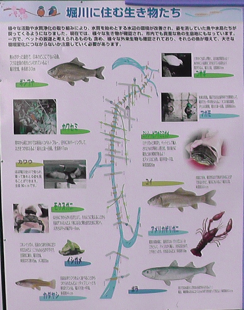 桜通り地上走行 プラネタリューム館を見る 名古屋城本丸御殿21 名古屋港イルミネーション２１ 元南極観測船「ふじ」とポートタワー。 名古屋港水族館夜景。 名古屋港イルミネーション２１・第１部 名古屋港イルミネーション２１・第２部 水族館北に