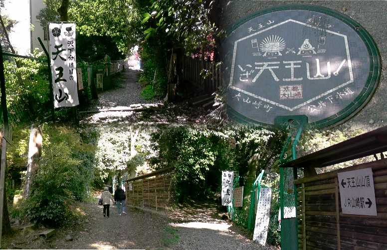 天王山登山道風景。