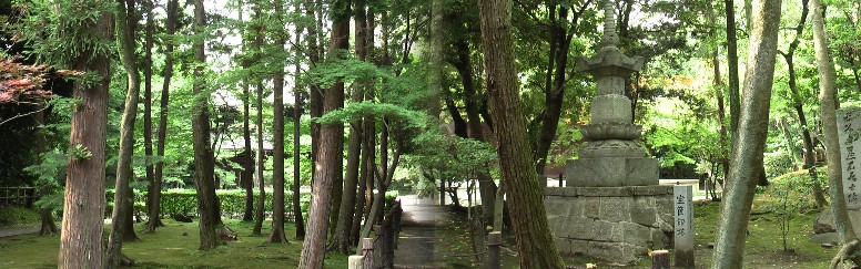 妙興寺境内にあります。宝匡印塔。境内散策は大自然の中のようです。