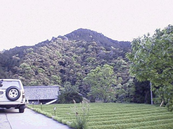 大きな岩肌が、新緑に映える木々の間からあちこちに現れ、 広重画によく似ています。 坂下宿泊まりで夕焼けの風景を描いたものと思われます。 平成10年4月26日撮影