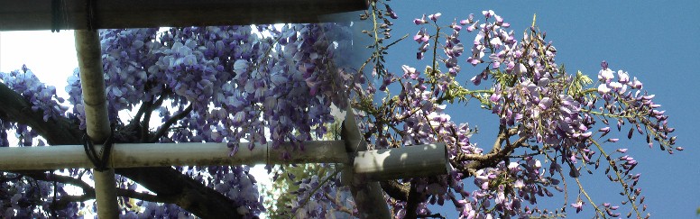 $BF#$N2sO-!';OH/>l=j!";TLr=j1X2<$B!#(J $BF#$N2sO-Cf?4CO(J $B#2#0#1#0G/(J4$B7n#2#4F|;#1F!#(J