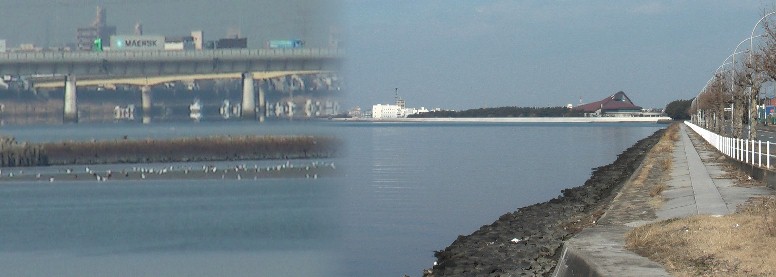 藤前干潟(左)と野跡駅に通じる干潟海岸道路。三角形の屋根は稲永スポーツセンター。 藤前干潟撮影場所