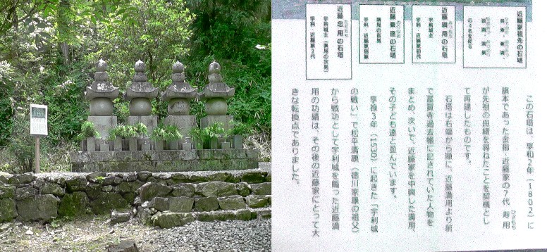 冨賀寺境内・近藤家墓所。