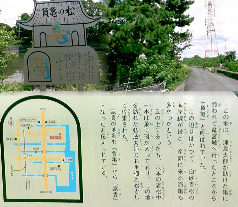 負亀の松。 負亀の松