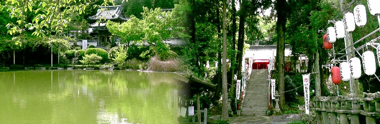 福厳寺山門前の池（左）。右は境内の秋葉三尺坊大権現。