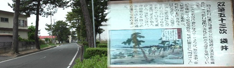 袋井宿の松並木。