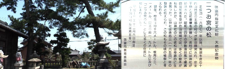 山神社境内の「二つお宮の松」。