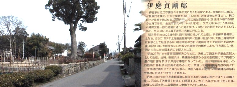 伊庭邸の屋敷は中仙道沿いに長屋門の構えと広大な屋敷跡で、巨大な楠木が往時を偲ばせ小公園となっています。