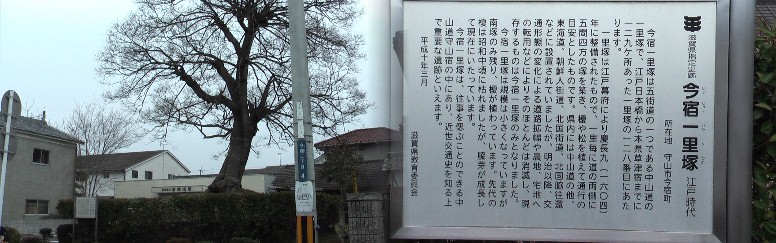 滋賀県指定史跡。今では貴重な存在となっています。