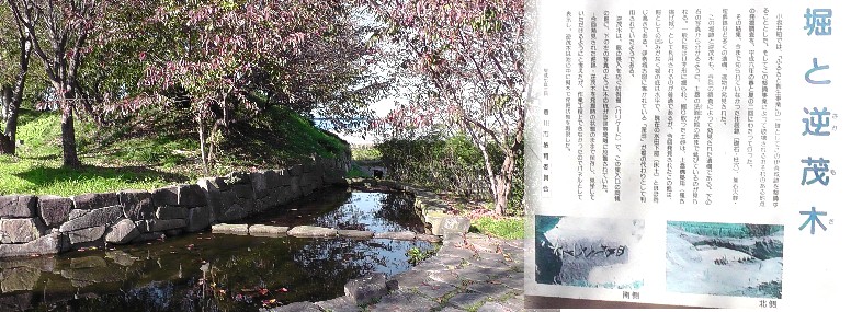 堀と逆茂木。説明拡大