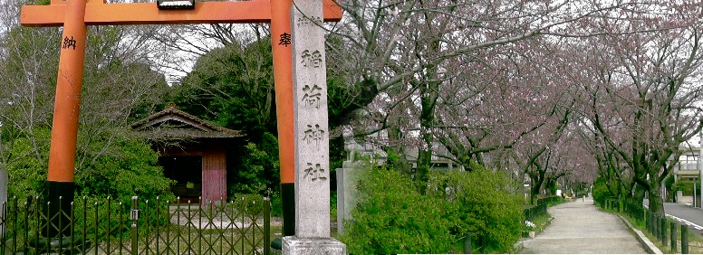 尾張広域緑道の桜並木(右)。左は慈眼寺隣の稲荷神社。