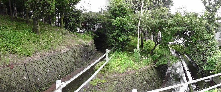 井ノ口城の堀跡と見られる用水路。