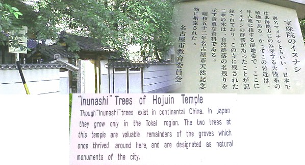 宝珠院、隼人池の東にあります。