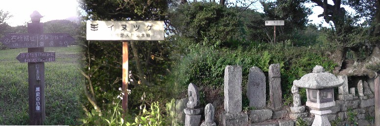 須山のイヌツゲの木と墓碑群。