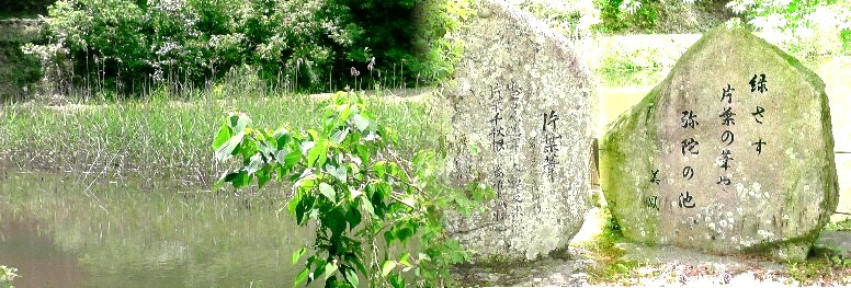 弥陀が池畔に建つ石碑２基。勝頼の設楽が原の出陣を諌めた「明日の決戦は無謀だ、戦いを止めて 故郷へ帰りなされ」・・・と白髪の老人を（トップの説明文参照）。