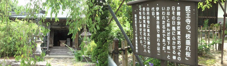 日本三大薬師の一つ山中薬師で御嵩（みたけ）の蟹薬師、三河の鳳来寺があります。 虫封じの薬師とし有名です。 医王寺・説明文 医王寺 医王寺