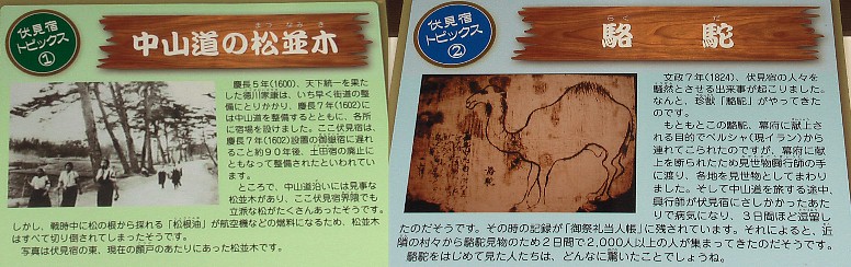 一本松公園で撮影したものです。