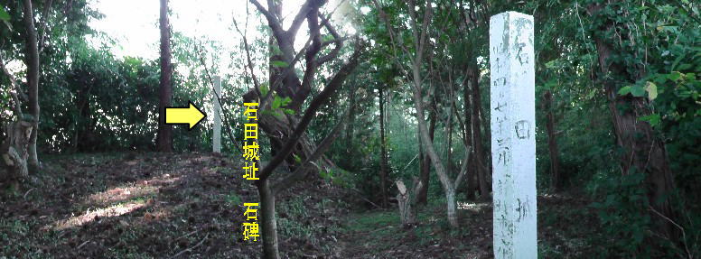 ē³ē°ååć ē³ē°åå