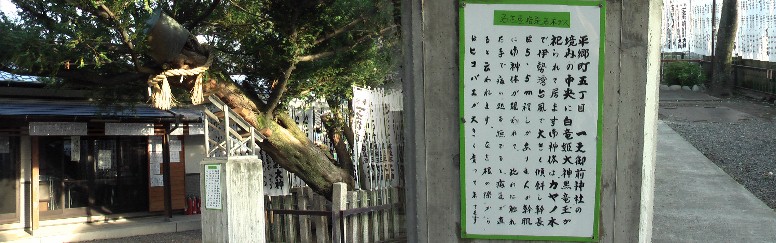 一之御前神社境内の「カヤノ木」の大木がご神体で、手を触れ、痛みが癒されるといわれる。