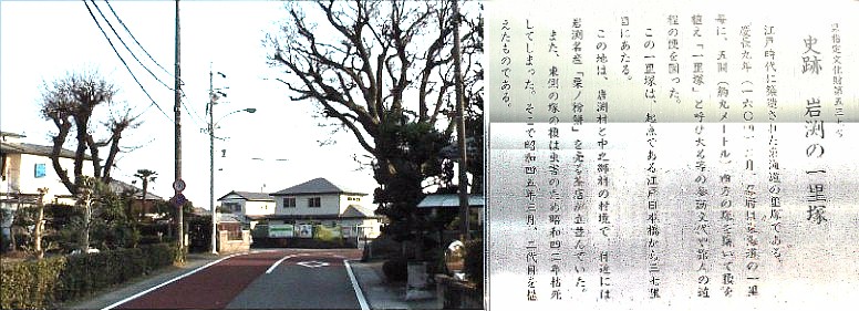 両側にある岩渕一里塚。 岩渕一里塚