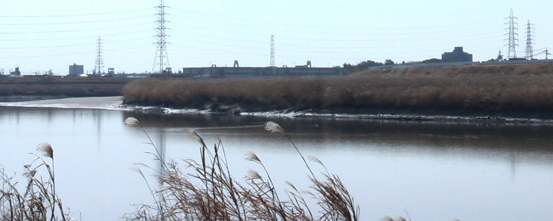 2013.2.26きねこさ祭りで渡し場付近を撮る。