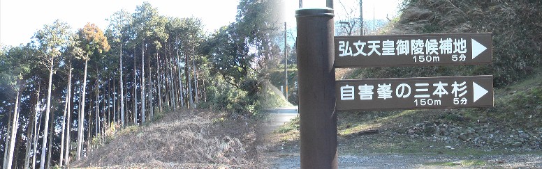 大友皇子は大津で自害し、御首は地元で貰い受けこの山に葬られ、その印に三本杉を植えたという。 関連：大友皇子(明治3年弘文天皇の称号を贈られた)・西大友天神社 関連リンク：壬申の乱。