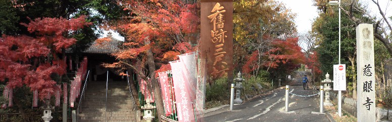 初冬の慈眼寺、2012,12、5日撮影 慈眼寺。