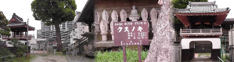 浄久寺。リンク：浄久寺 浄久寺