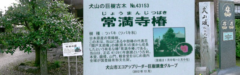 常満寺は犬山城松の丸の裏門でもありました。 常満寺・専念寺