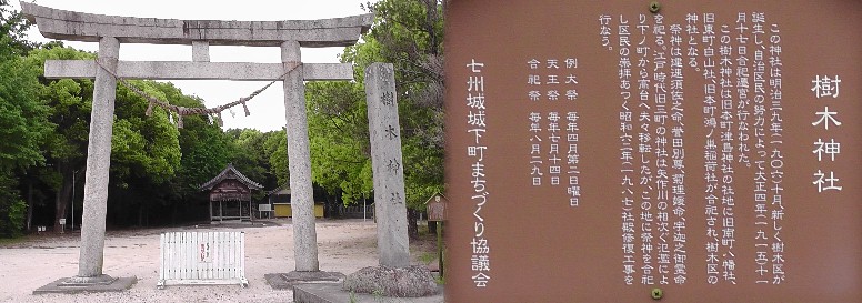 樹木神社。