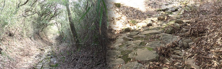 坂道は急なものではありませんが石畳がごつごつして歩きにくい。