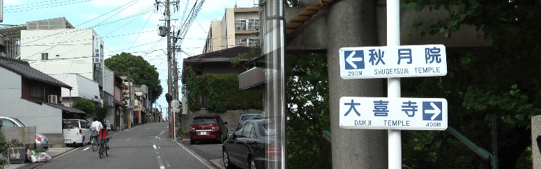 田光八幡社へ向かう登り坂。遠くに見える森が八幡社。この地点を南へ行くと秋月院があります。