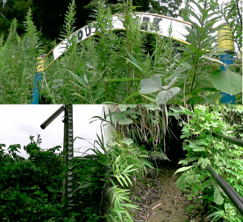 珍しいといわれる貝殻公園を円増寺横の案内板から登り、南口のアーチ（上）付近で身丈ほどの 雑草で引き返しました。（貝殻を貼り付けた標柱、下左）。立派な手摺りがありますが雑草で覆 われています。