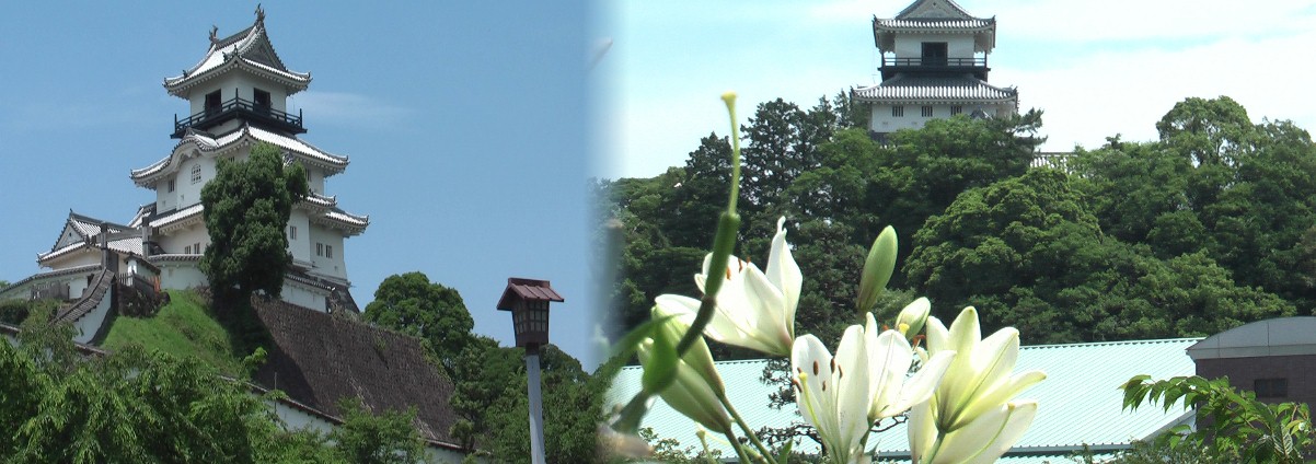 $B1&!&I49g$N2V:i$/8X$k5U@n!J$5$+$,$o!KDiKI$+$i8+$k3]@n>k!":8$O3]@n>kE7