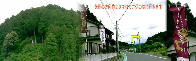 柿本バス停付近の登り口から柿本城を望む。