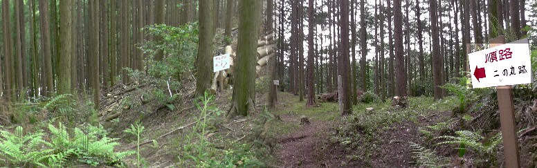 かなりきつい登山道です。