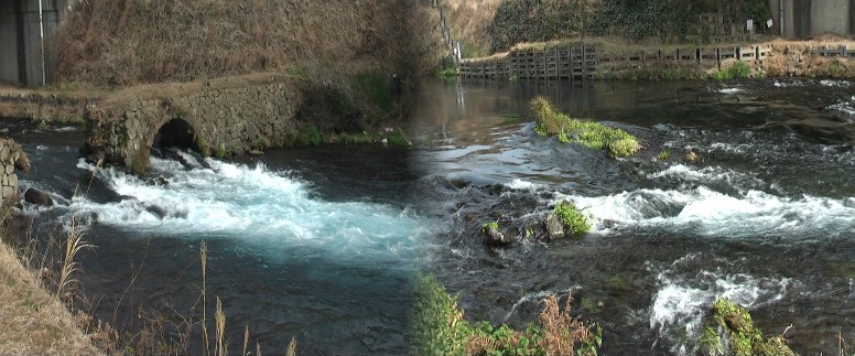 柿田川下流、柿田橋付近、この先で狩野川と合流し駿河湾に注ぐ。 柿田橋