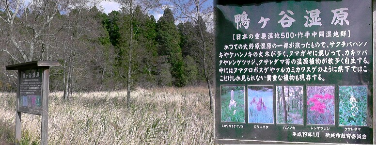 鴨ケ谷湿原。googleマップ： 鴨ケ谷湿原