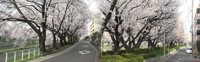 地下鉄駅から市バスをご利用が便利です。引山か、延珠橋下車。