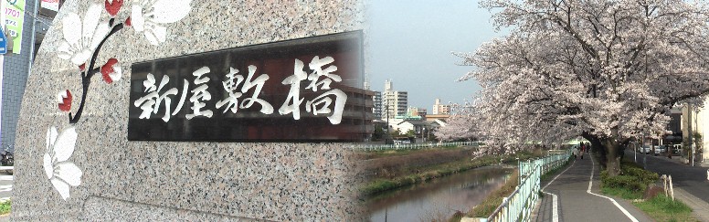 香流川緑道の桜並木