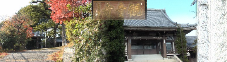 駅付近から見える山上に建つ観音寺。1667年に臨済宗の寺として創建。城東観音21番札所。 観音寺