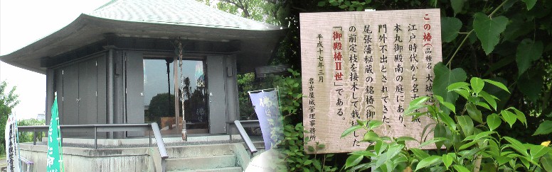 宝蔵寺から東へ約２００ｍの観音寺。観音堂（左）には千手観音像があり弘法大師作と云われる。 又本堂には金色まぶしい厨子に４０センチほどの阿弥陀如来が安置されています。 この寺は元中根城の南城（本城）があった場所です。観音寺