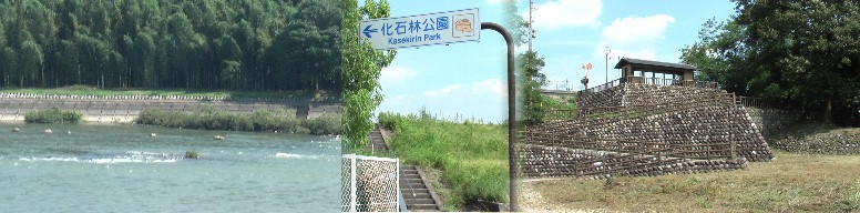 対岸の化石林（左）を望む公園。 渡船場へ向かう石畳道路説明文