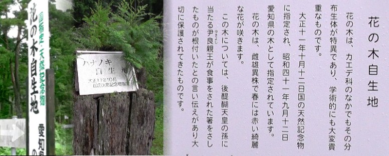 川宇連神社前の五所平にあります。